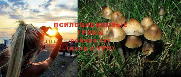 винт Гусиноозёрск