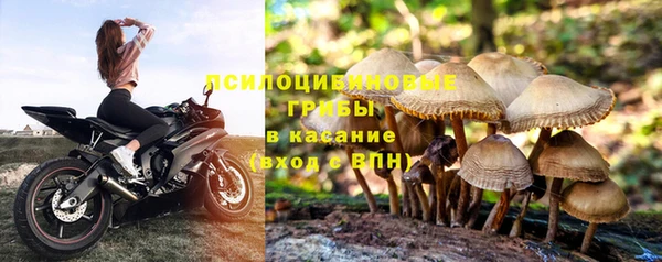 jwh Гусь-Хрустальный