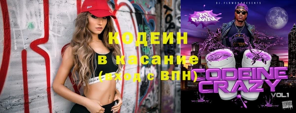 шишки Дмитровск