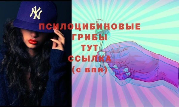 jwh Гусь-Хрустальный