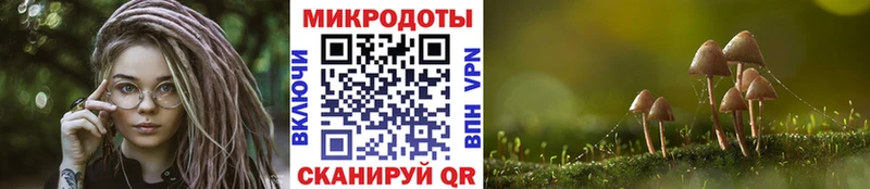 Купить закладки  Южно-Сахалинск  Псилоцибиновые грибы мицелий 